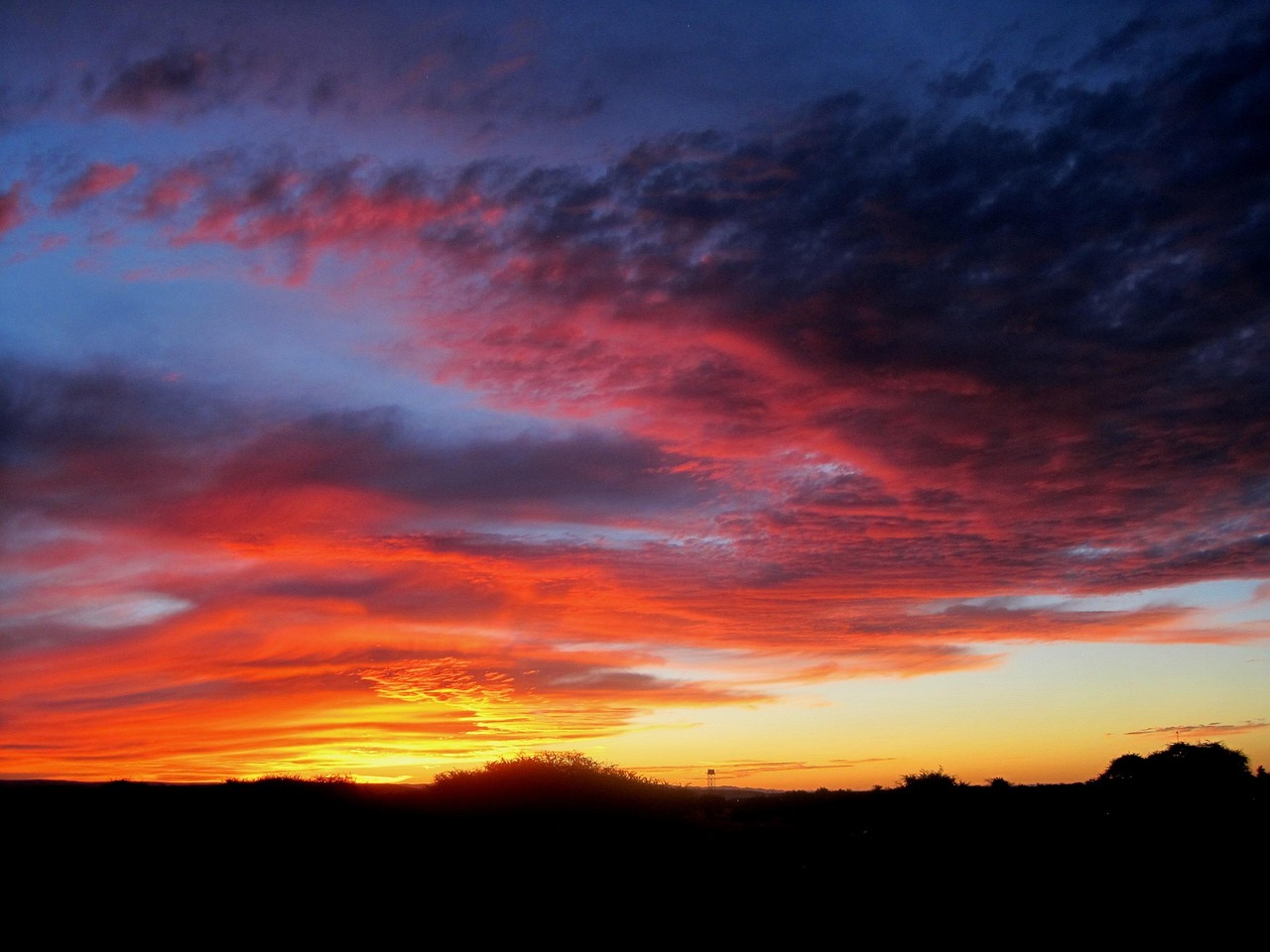 女性の植毛には入院が必要なのか？