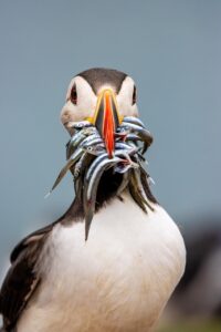 女性の植毛シミュレーションで知っておくべきポイントは？