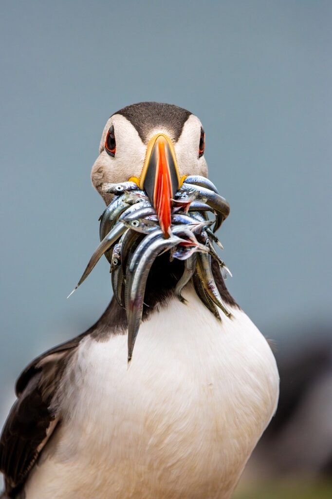 女性の植毛シミュレーションで知っておくべきポイントは？