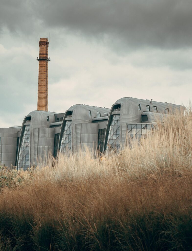 中年女性における植毛のFUE法とFUT法の違いは？