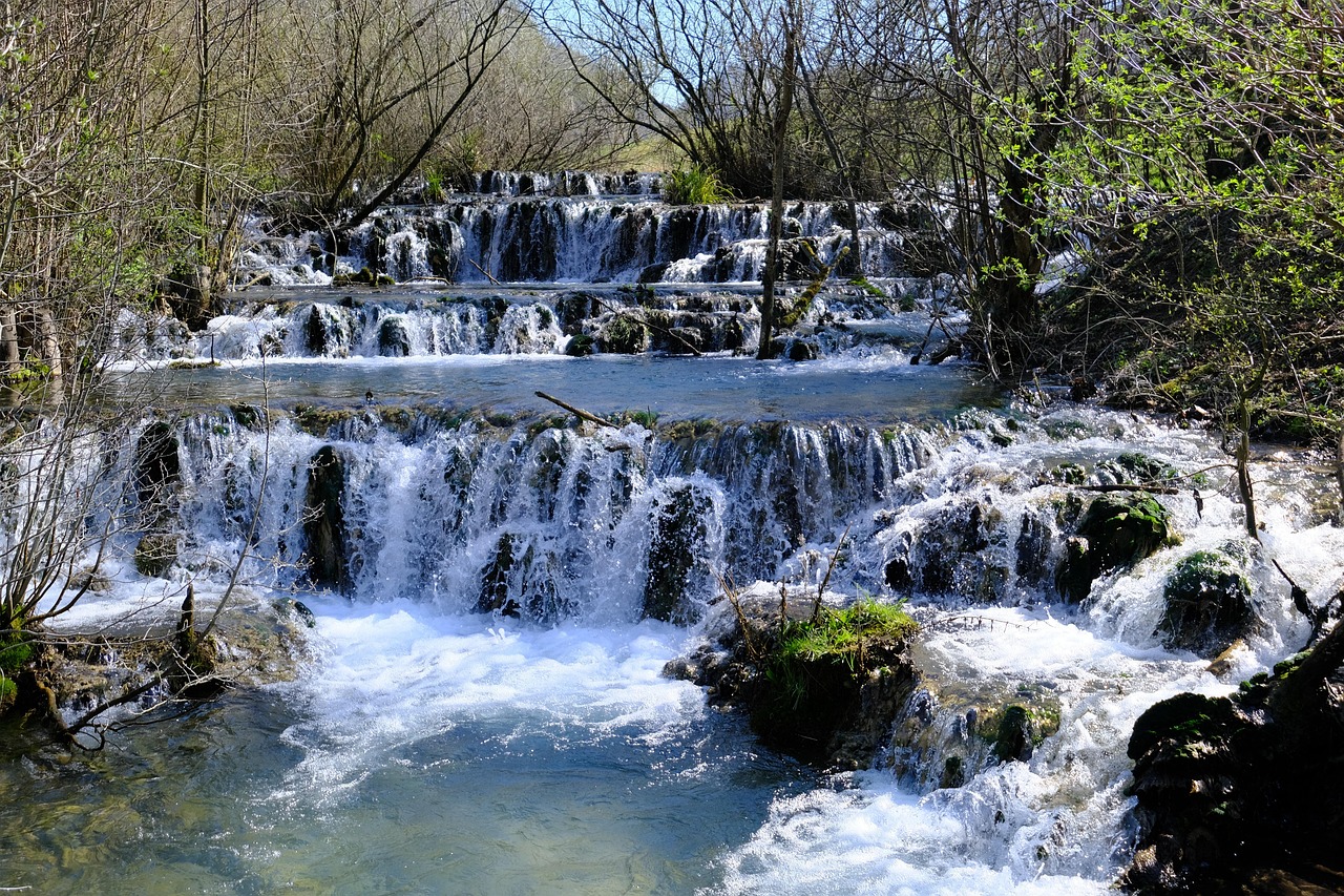 中年女性の植毛によるボリュームアップ写真の実例は？