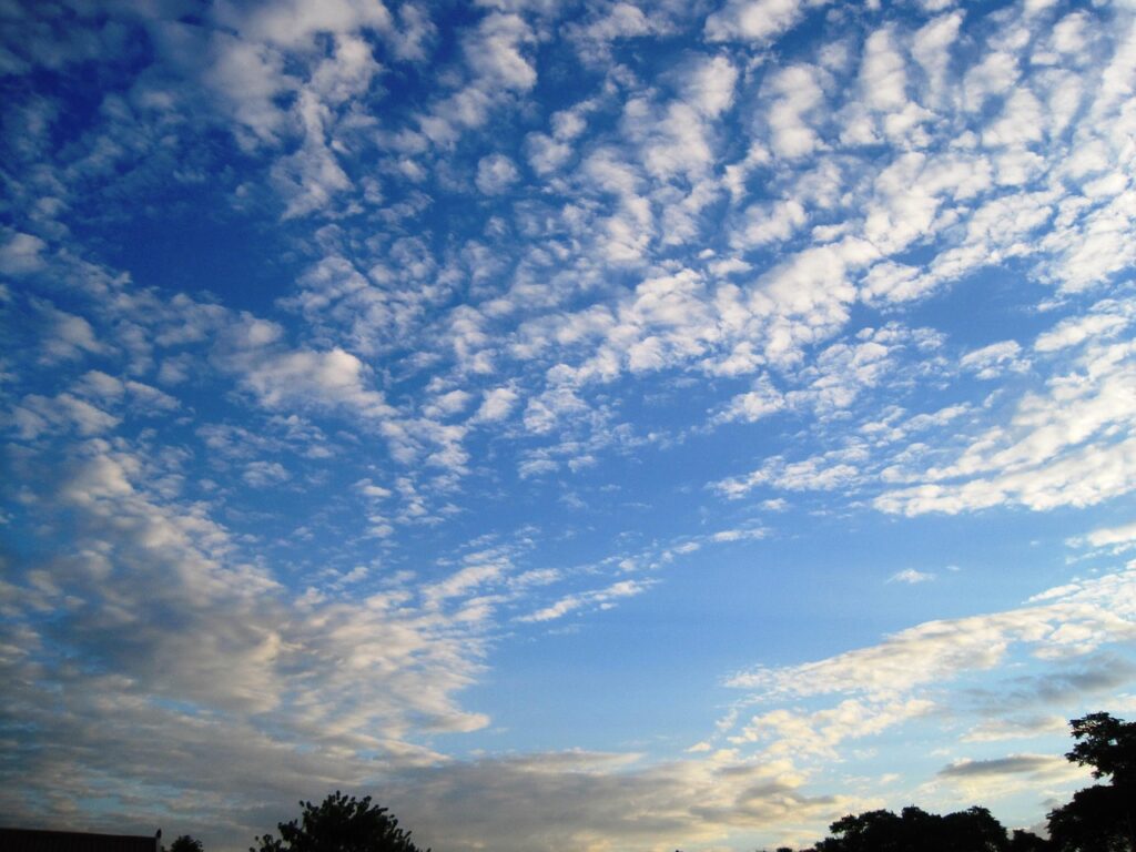 中年女性の頭頂部のみ部分植毛の可能性は？