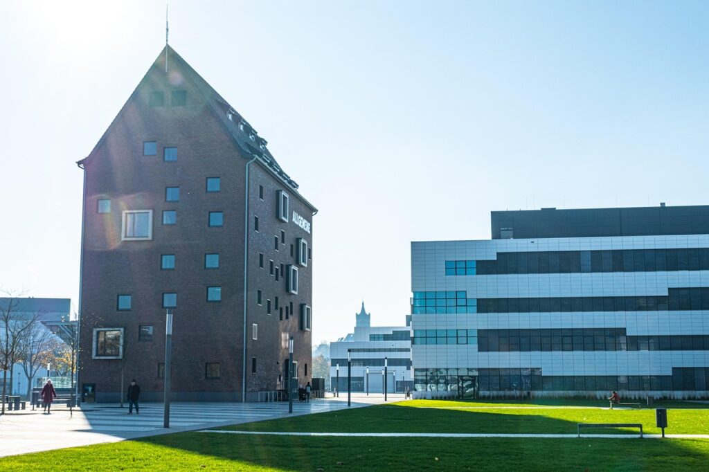 自毛植毛に関する大学での研究はどのように進められている？