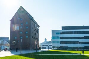 自毛植毛に関する大学での研究はどのように進められている？