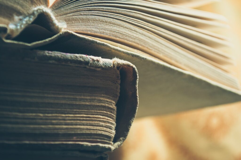 中年女性の薄毛対策に必要な植毛の本数は分け目でどう決まる？