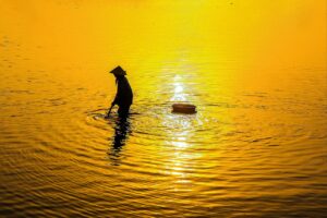 女性の植毛における満足度はどのくらい高いのか？