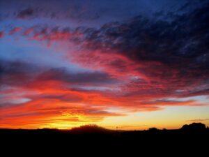 植毛で生え際の前髪はできる？