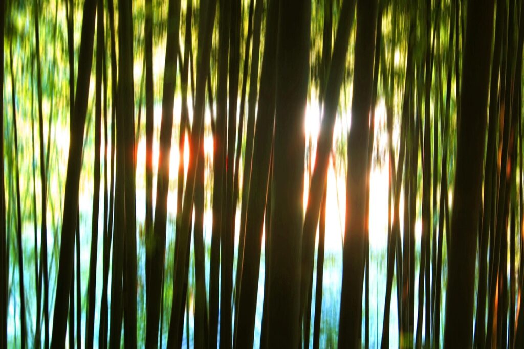 HARG療法と植毛の違いは何ですか？